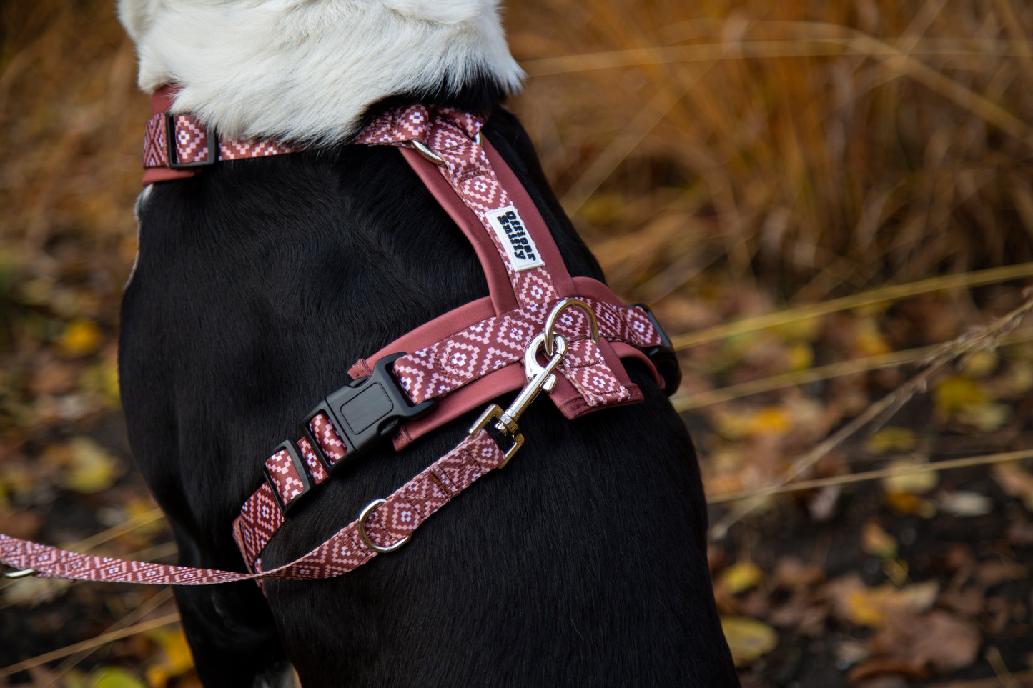 Y-Geschirr / Brustgeschirr braun rostrot gemustert