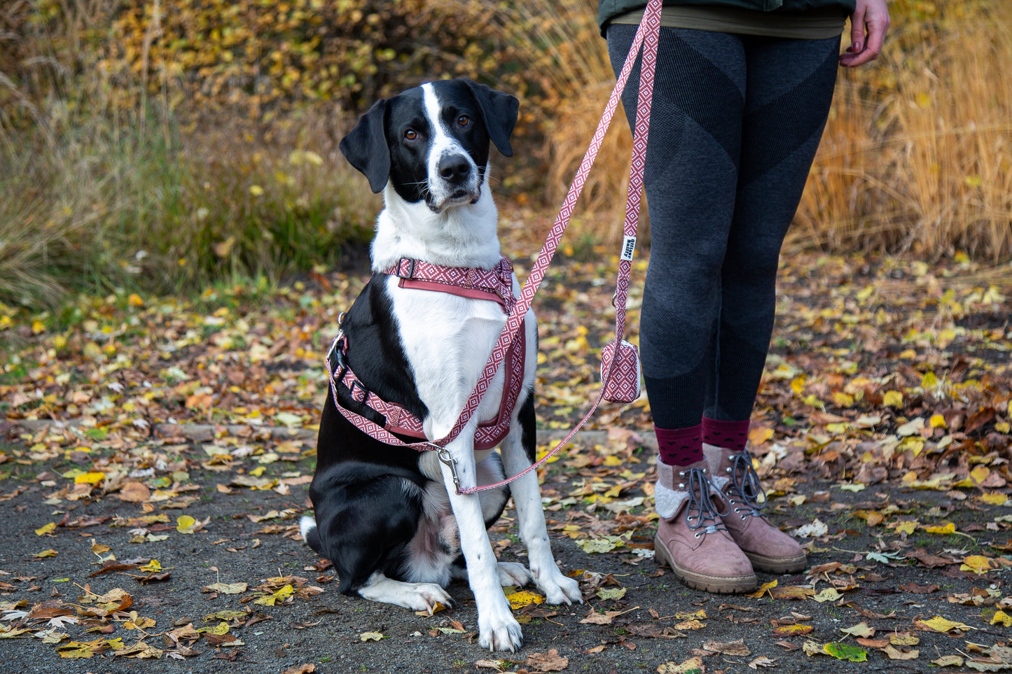 Y-Geschirr / Brustgeschirr braun rostrot gemustert