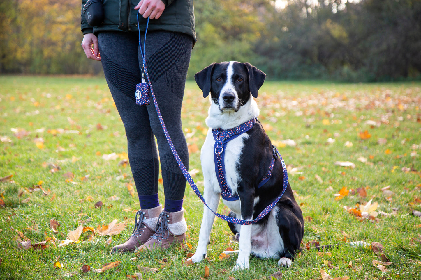 Leine blau gepunktet fest oder verstellbar