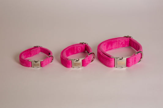 Halsband Samt pink