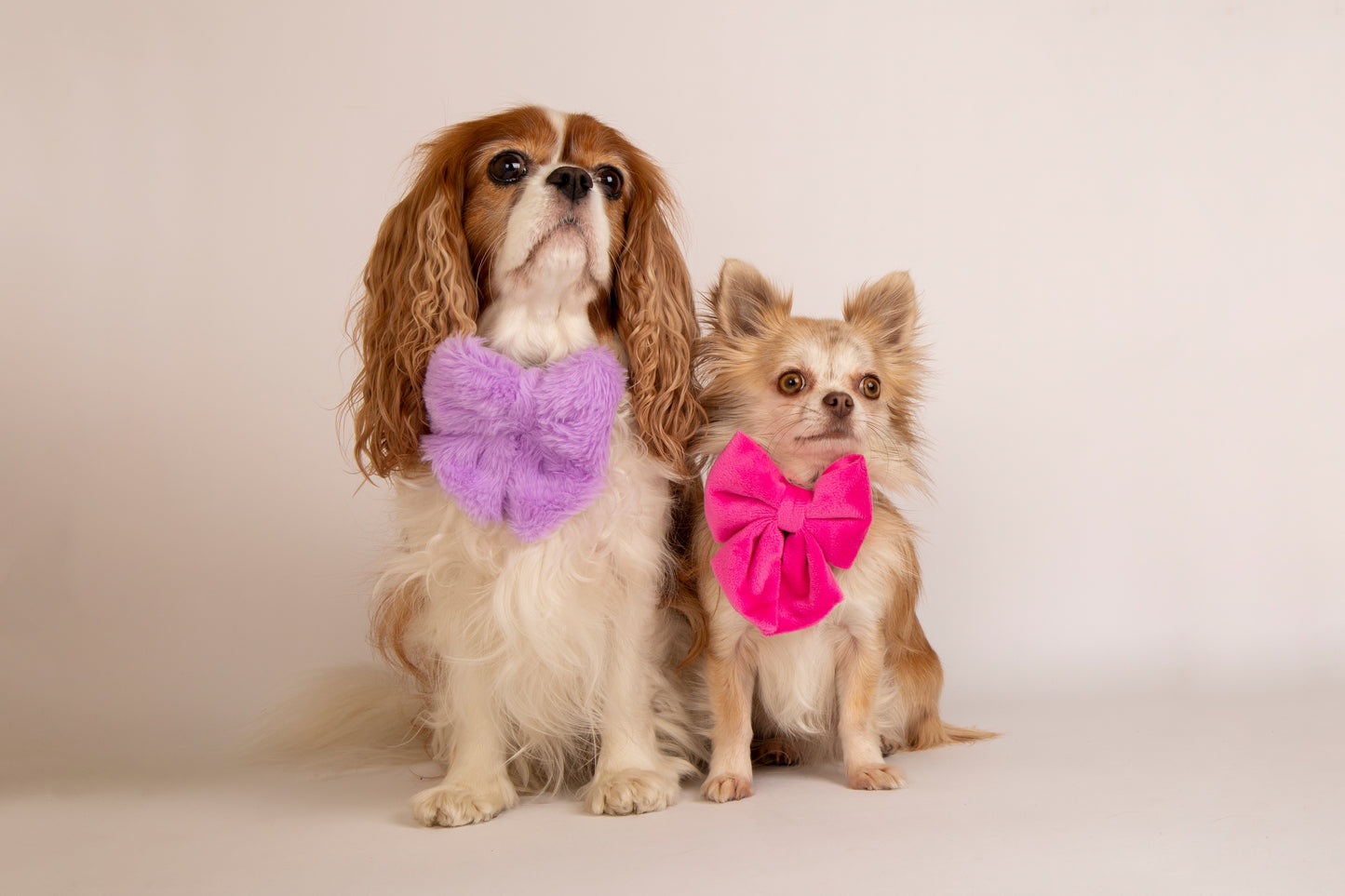 Halsband Plüsch lila