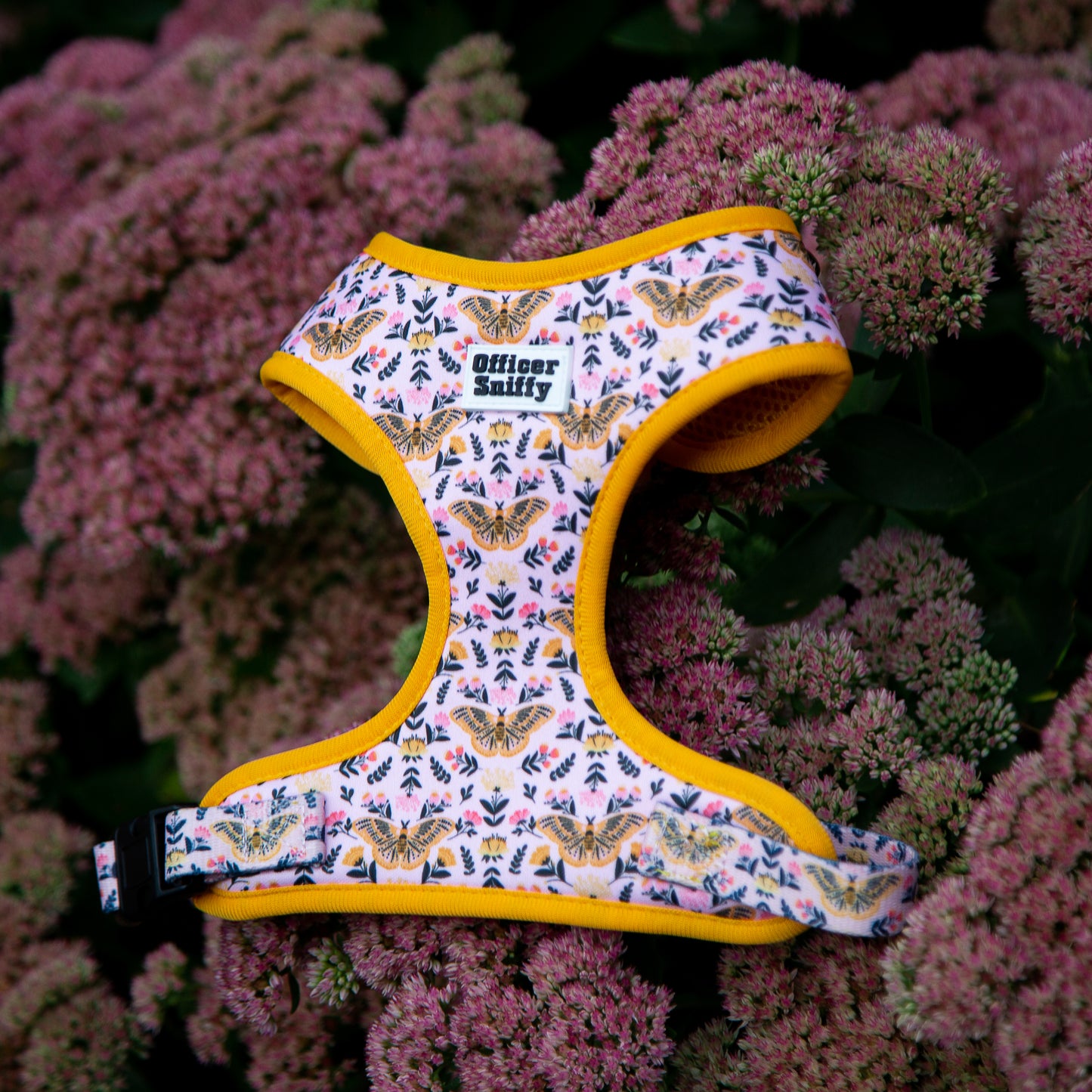 Brustgeschirr  "Wing It"