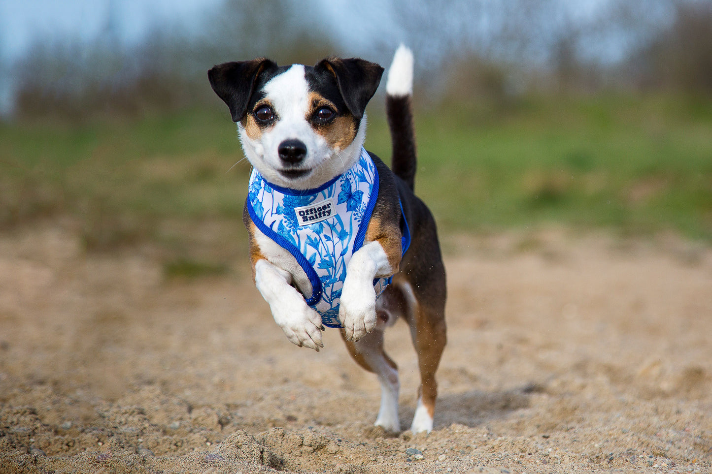 Brustgeschirr "Porzellan"