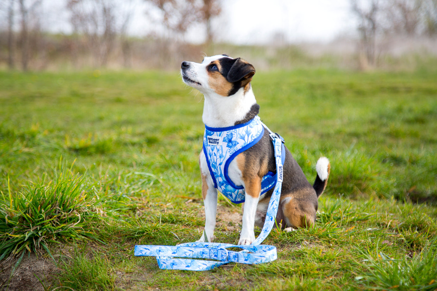 Brustgeschirr "Porzellan"