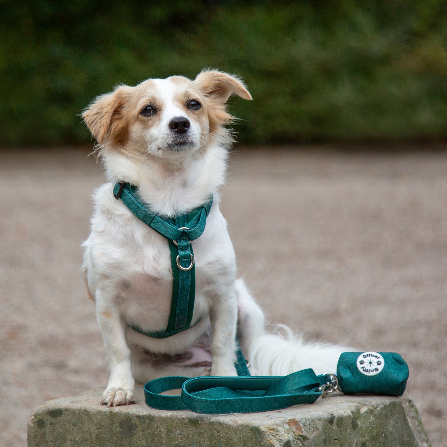Leine grün Blätter fest oder verstellbar