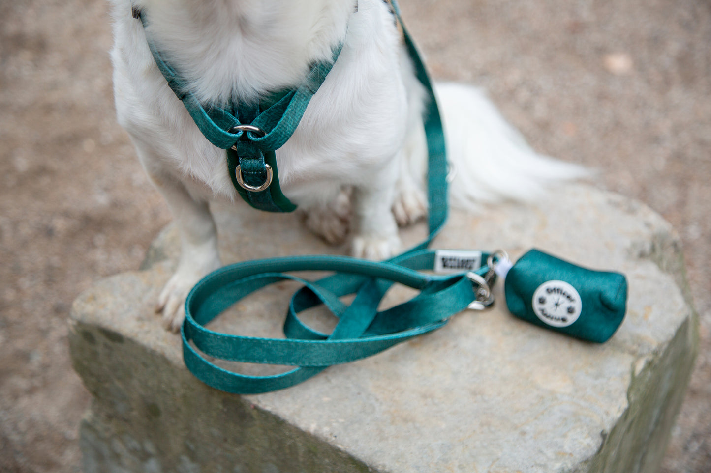 Leine grün Blätter fest oder verstellbar