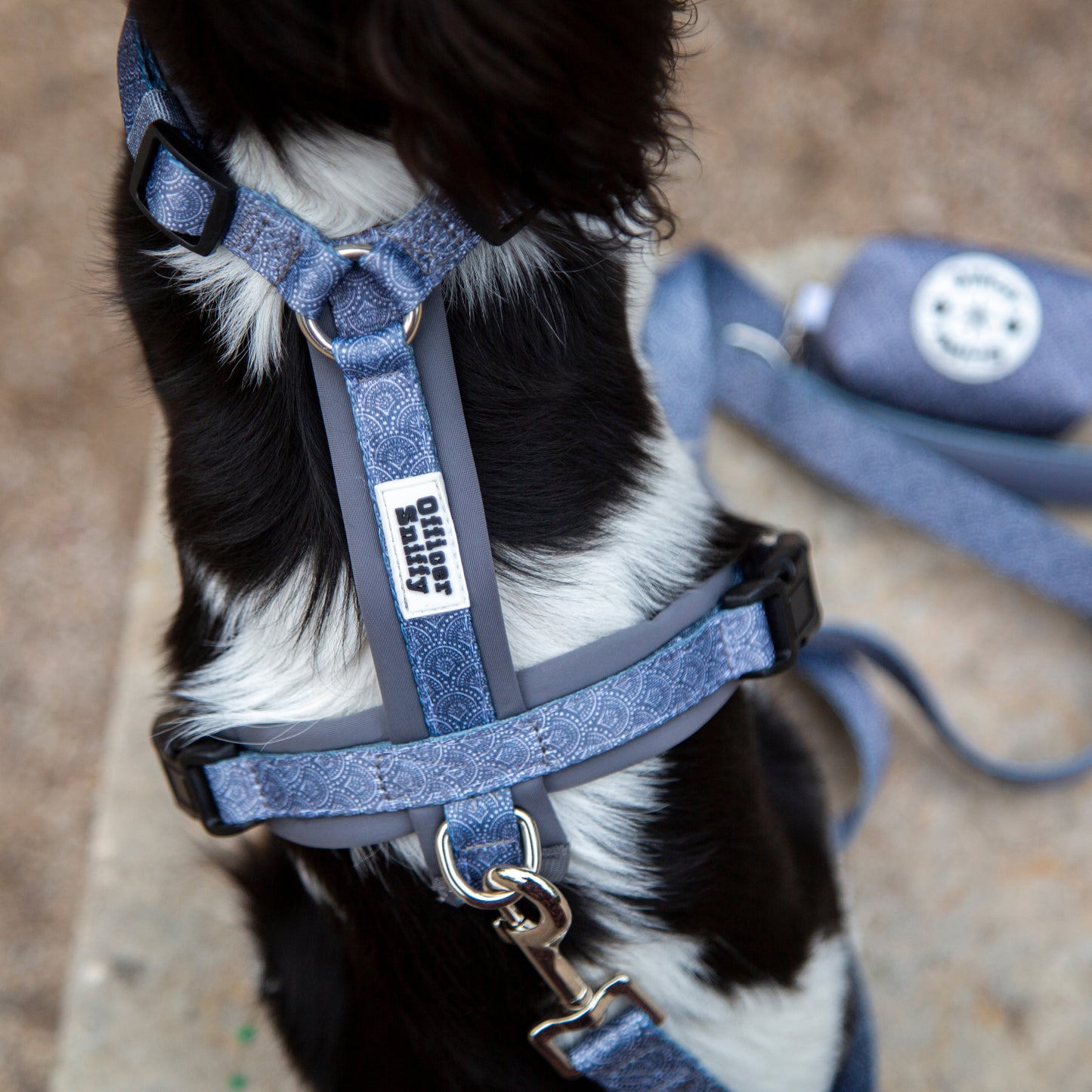 Leine grau gemustert fest oder verstellbar