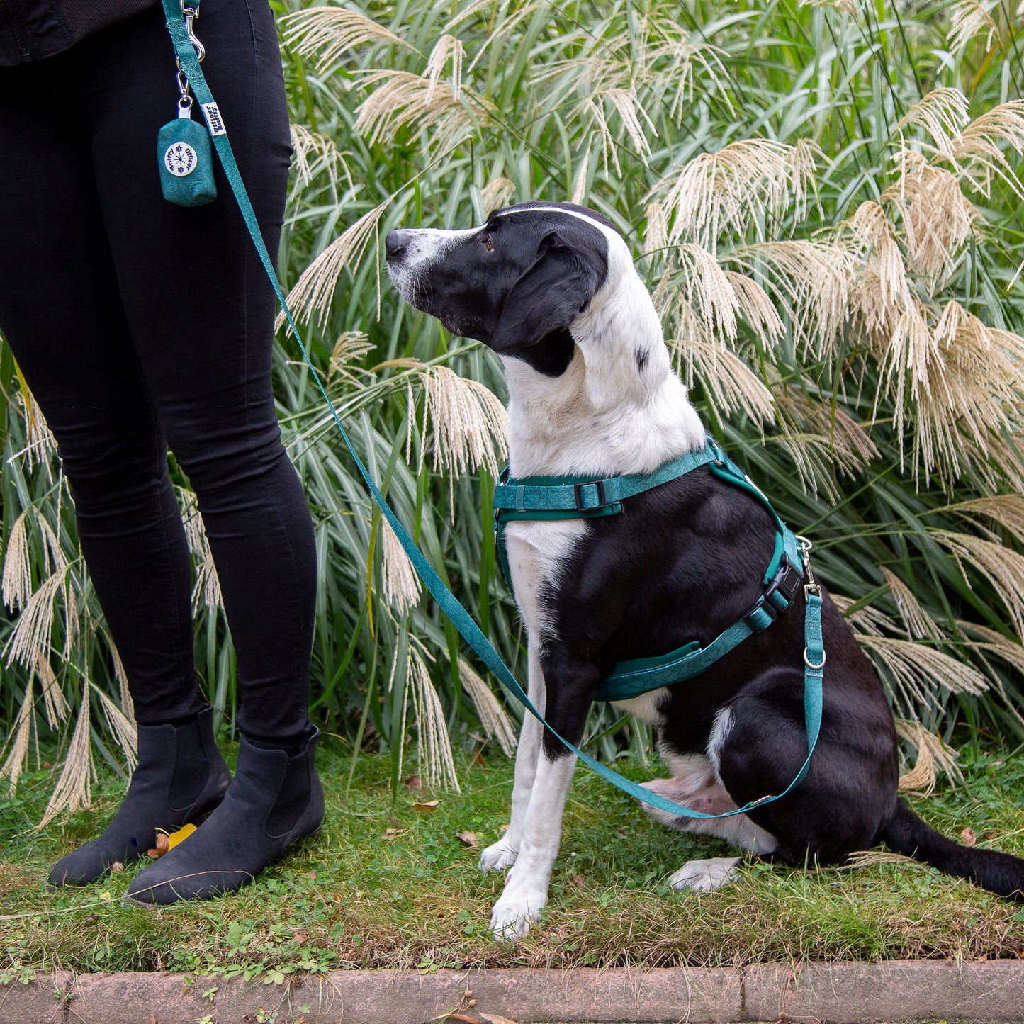 Leine grün Blätter fest oder verstellbar