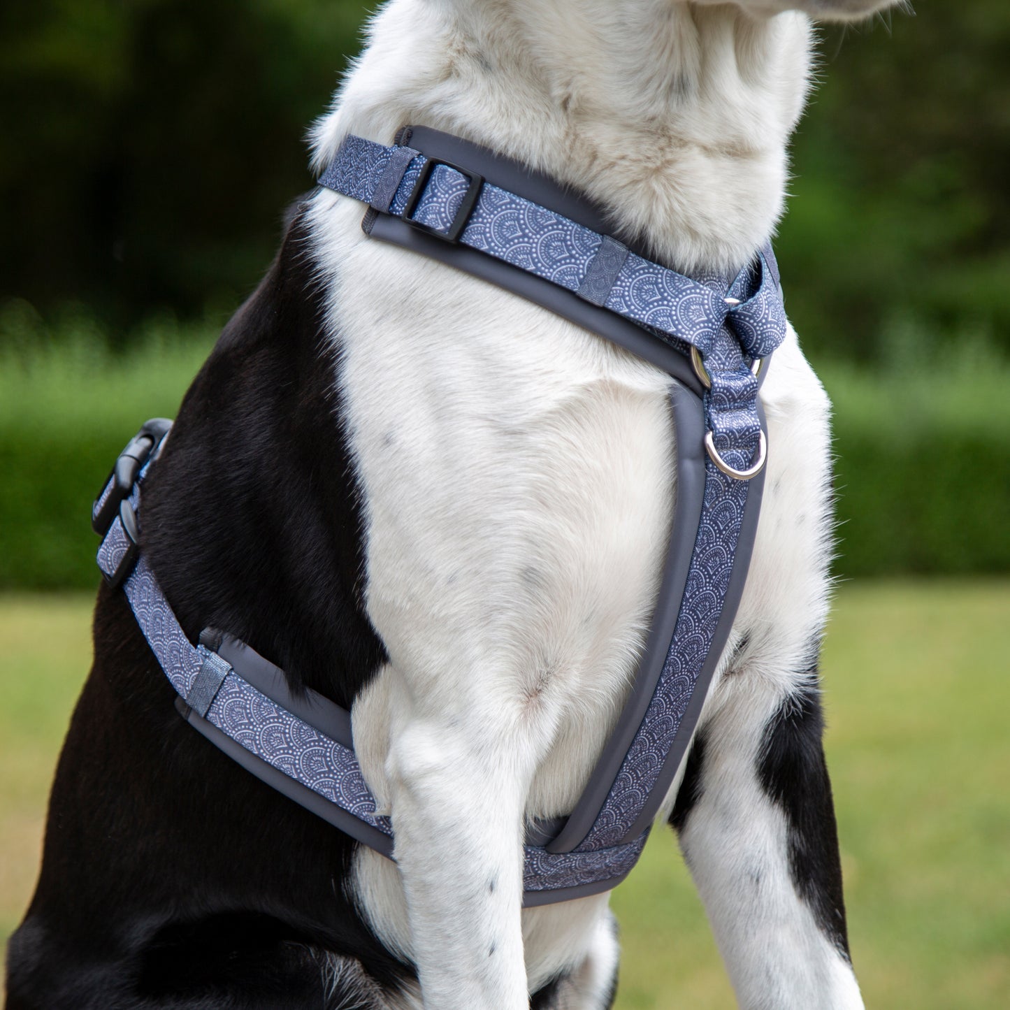 Y-Geschirr / Brustgeschirr grau gemustert