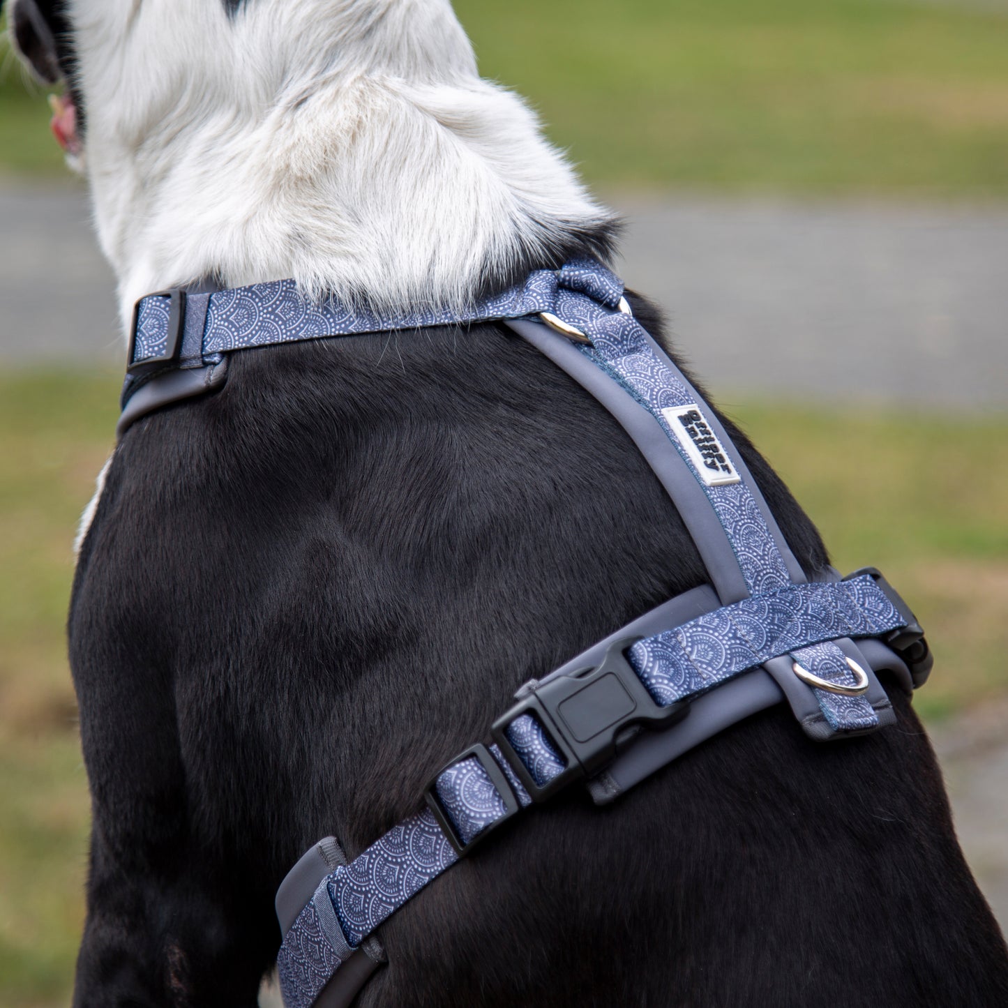 Y-Geschirr / Brustgeschirr grau gemustert