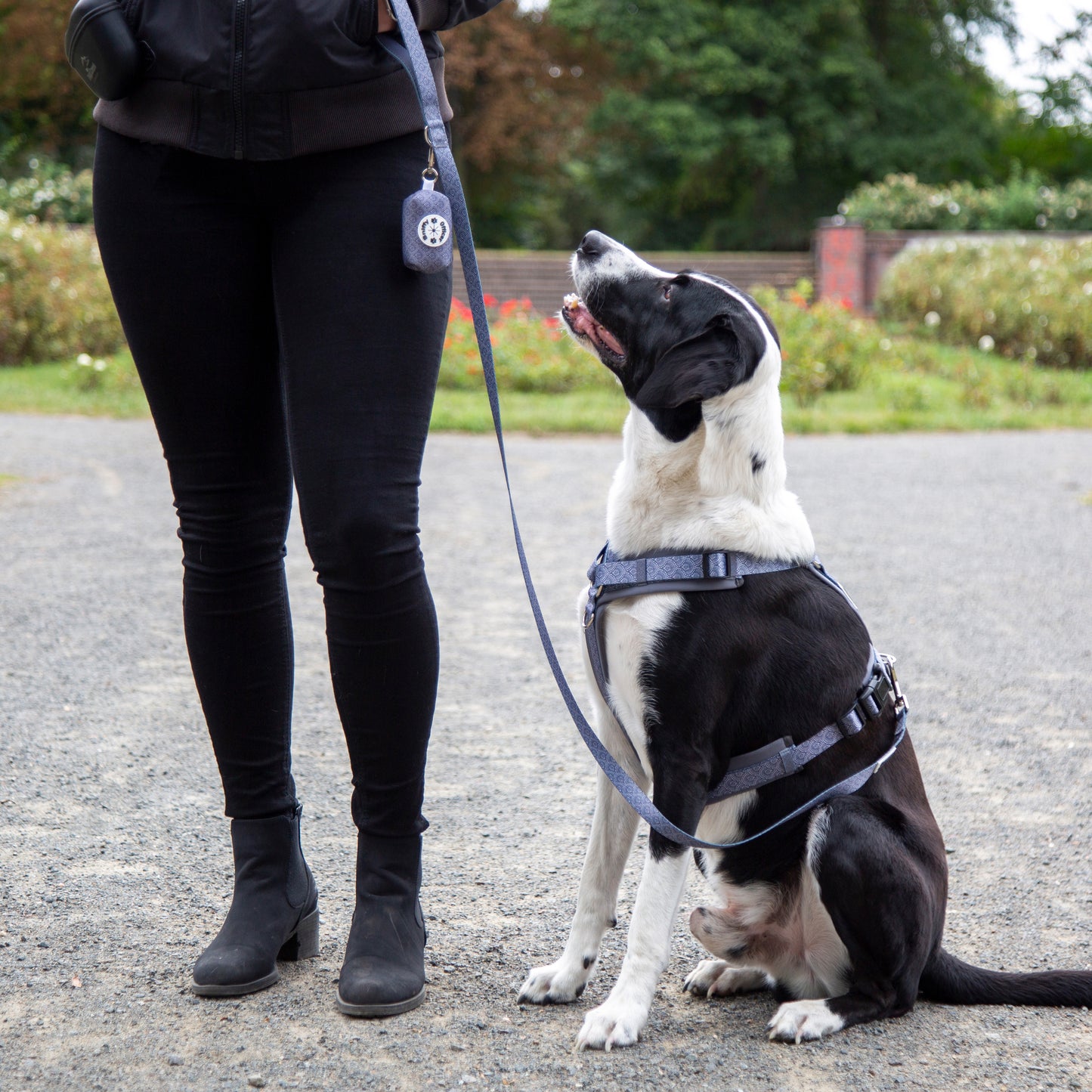 Leine grau gemustert fest oder verstellbar