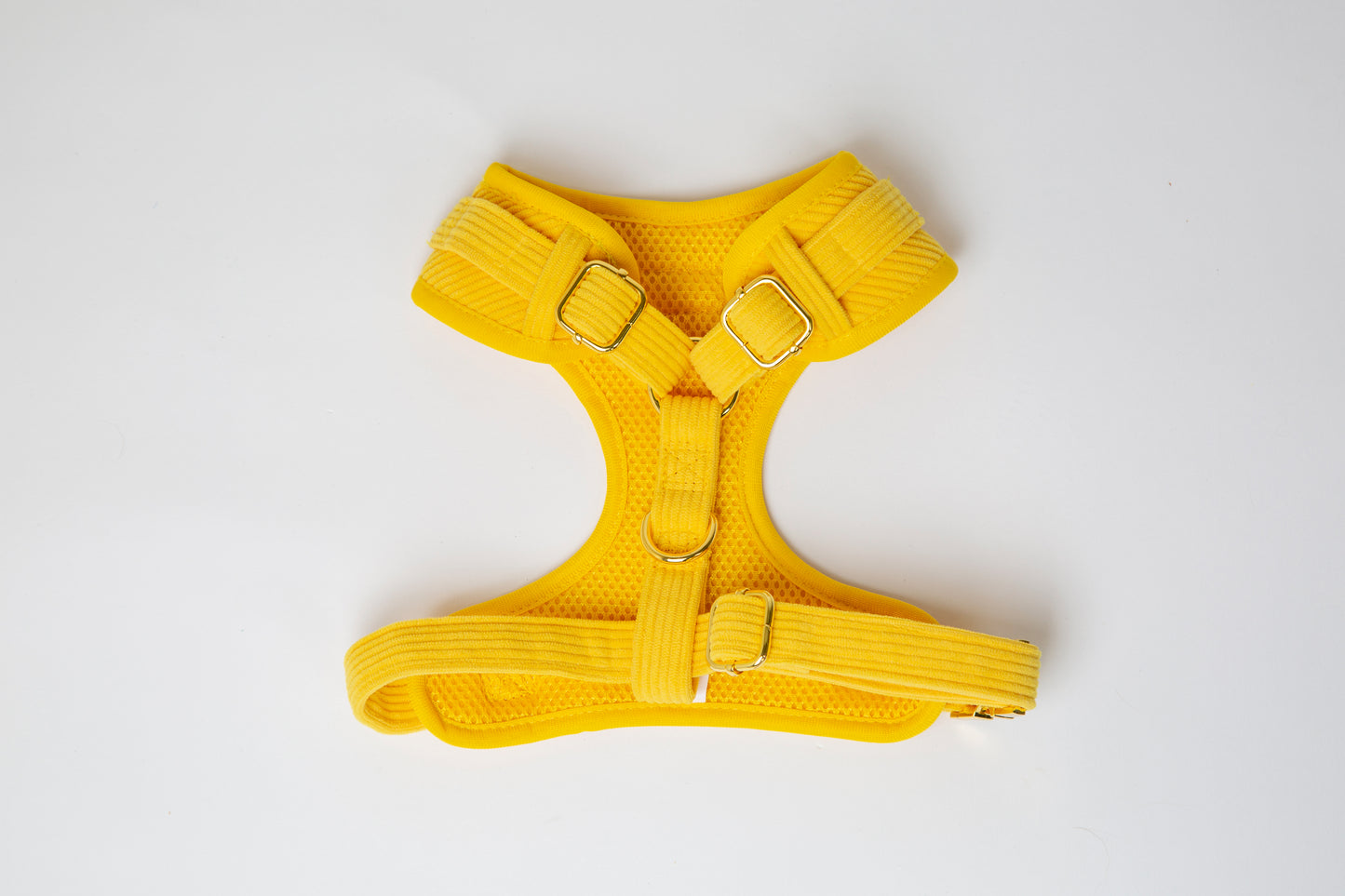Brustgeschirr Cord gelb