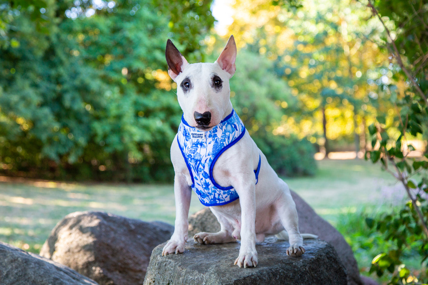 Brustgeschirr "Porzellan"