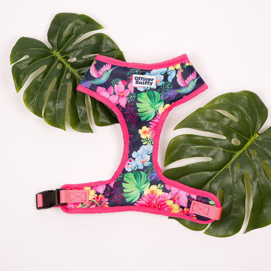 Brustgeschirr "Humming Jungle"