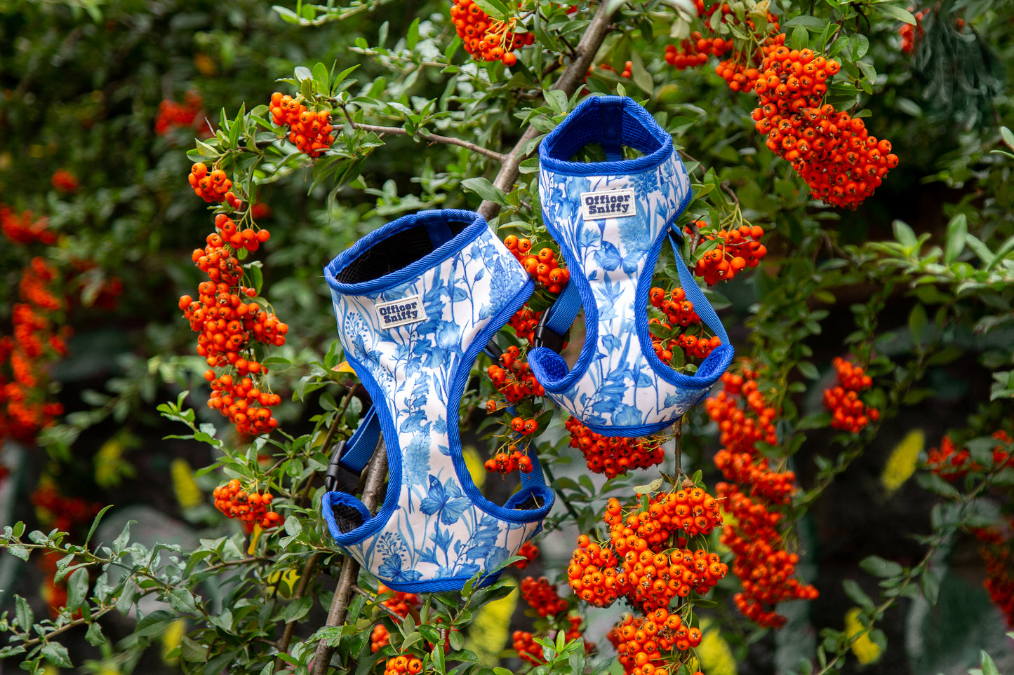 Brustgeschirr "Porzellan"