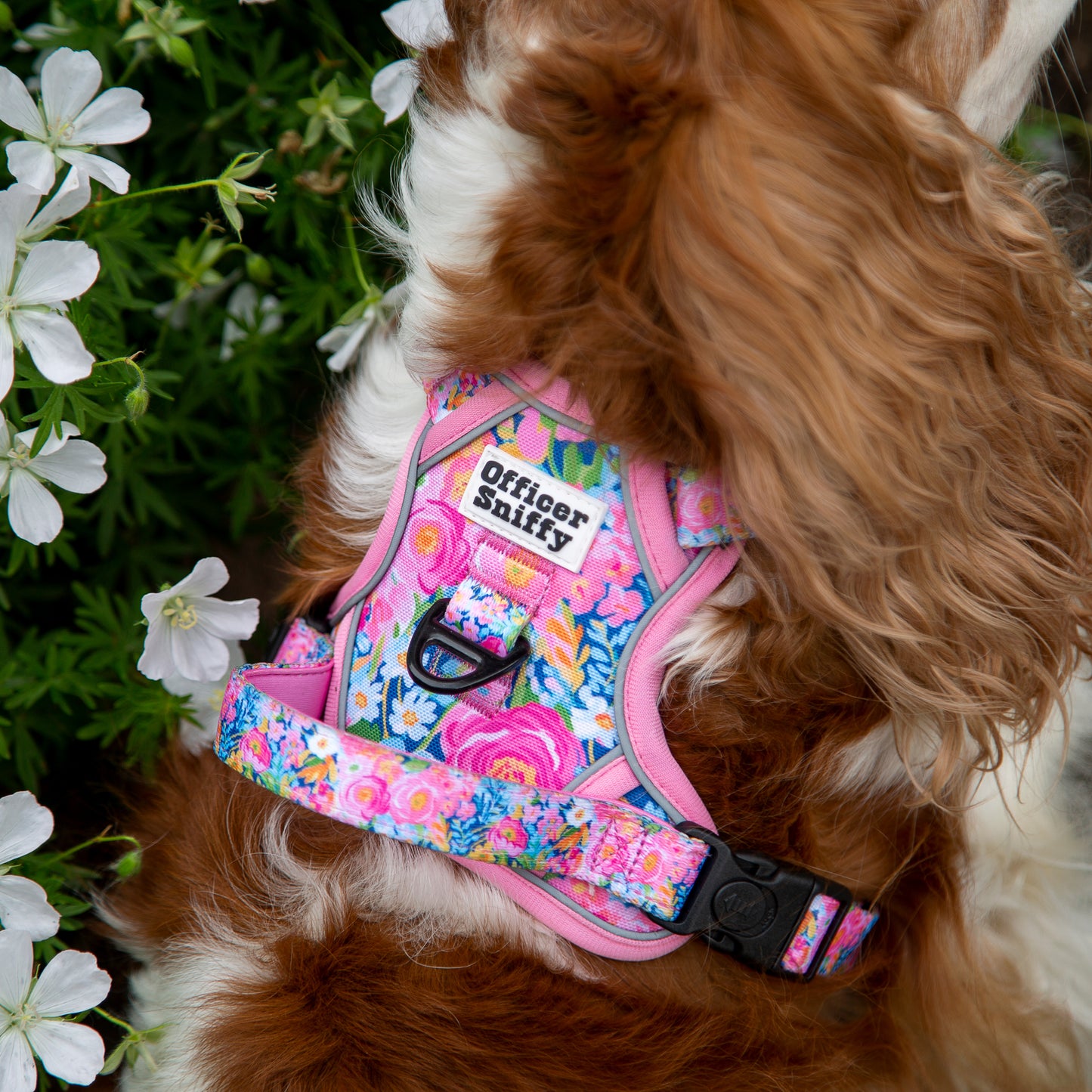 Hundegeschirr Blumen rosa Brustgeschirr mit Griff