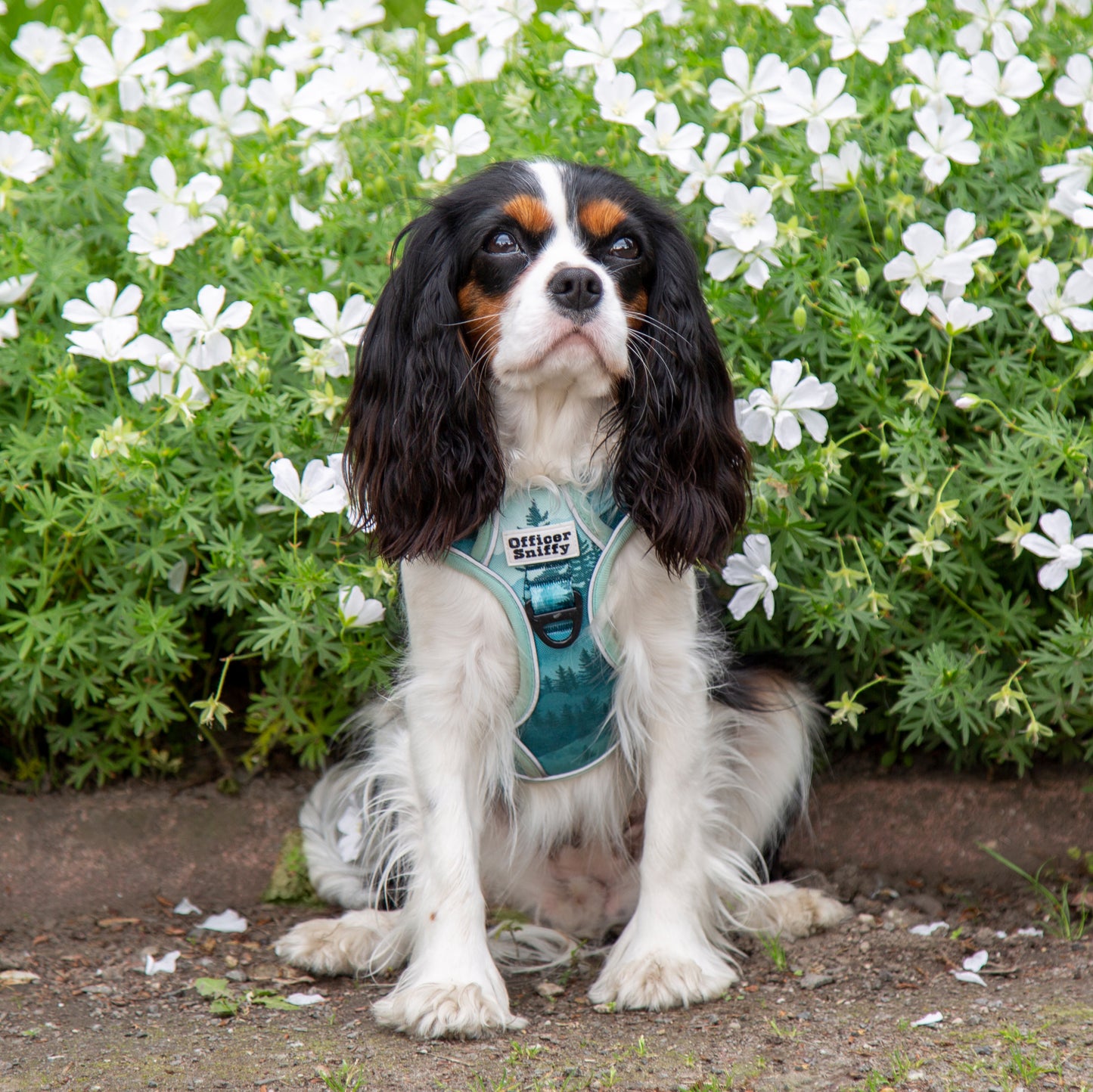 Hundegeschirr Wald Berge grün Brustgeschirr mit Griff