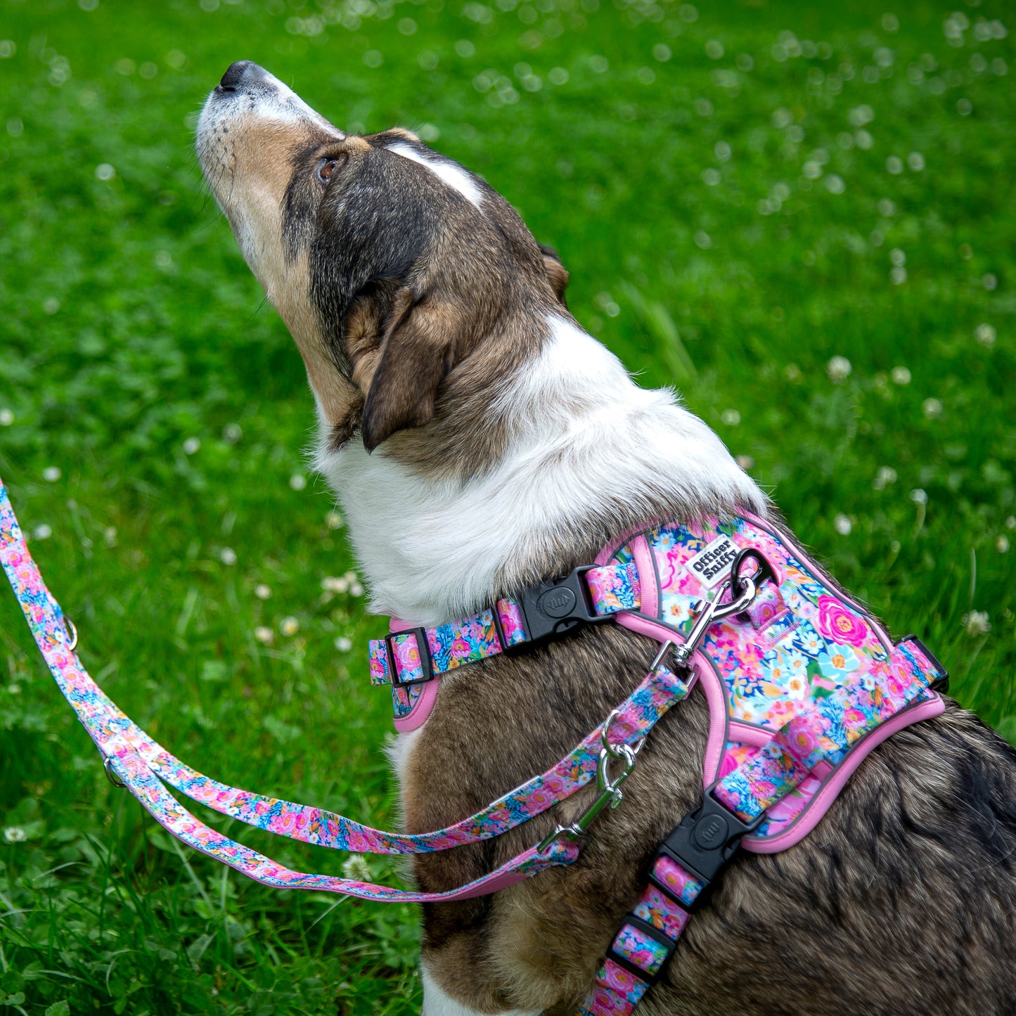 Hundegeschirr Blumen rosa Brustgeschirr mit Griff