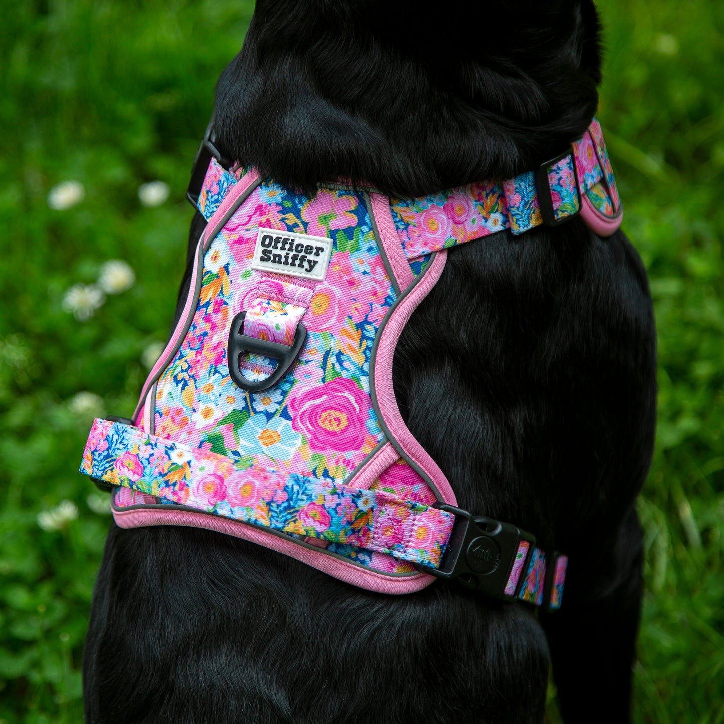 Hundegeschirr Blumen rosa Brustgeschirr mit Griff