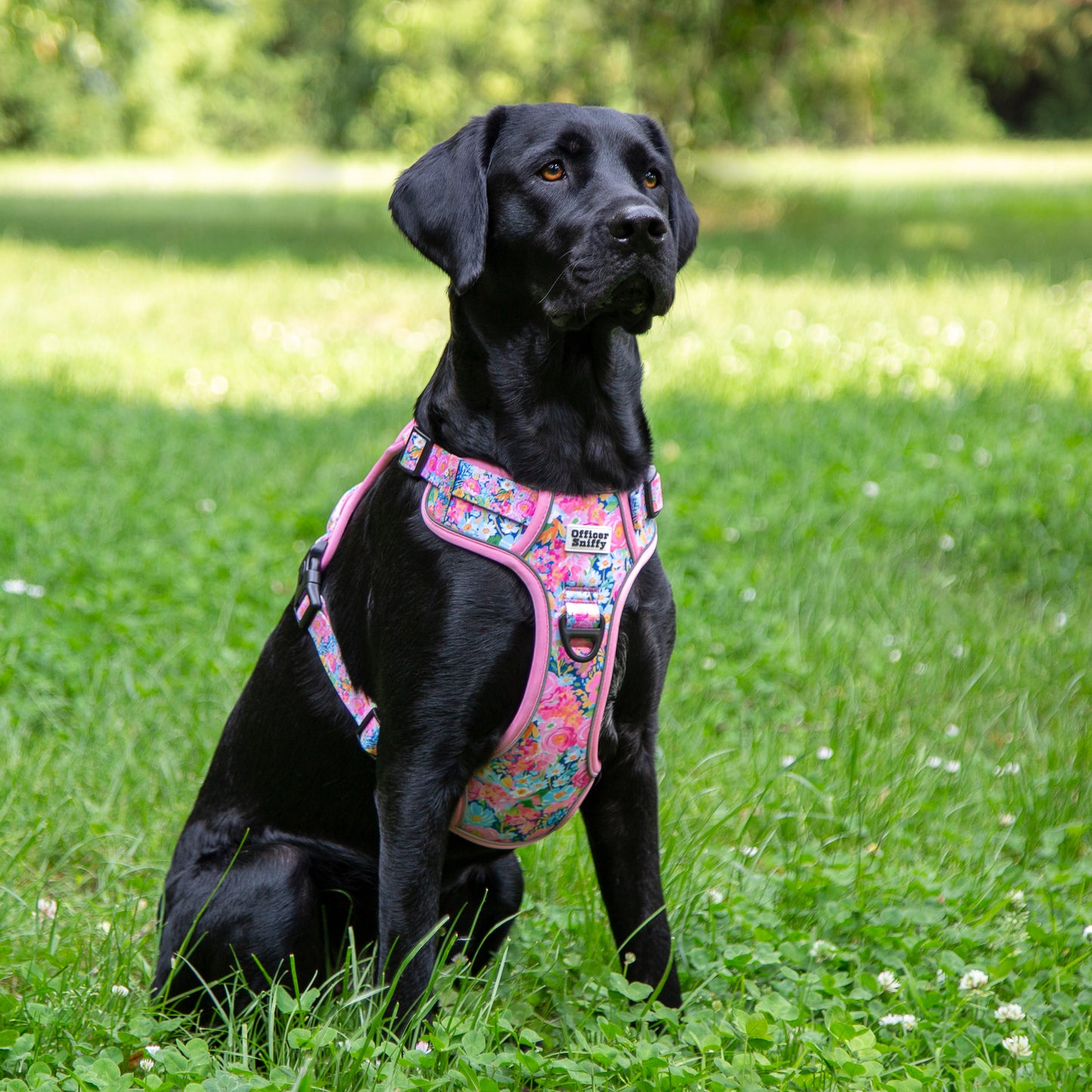Hundegeschirr Blumen rosa Brustgeschirr mit Griff
