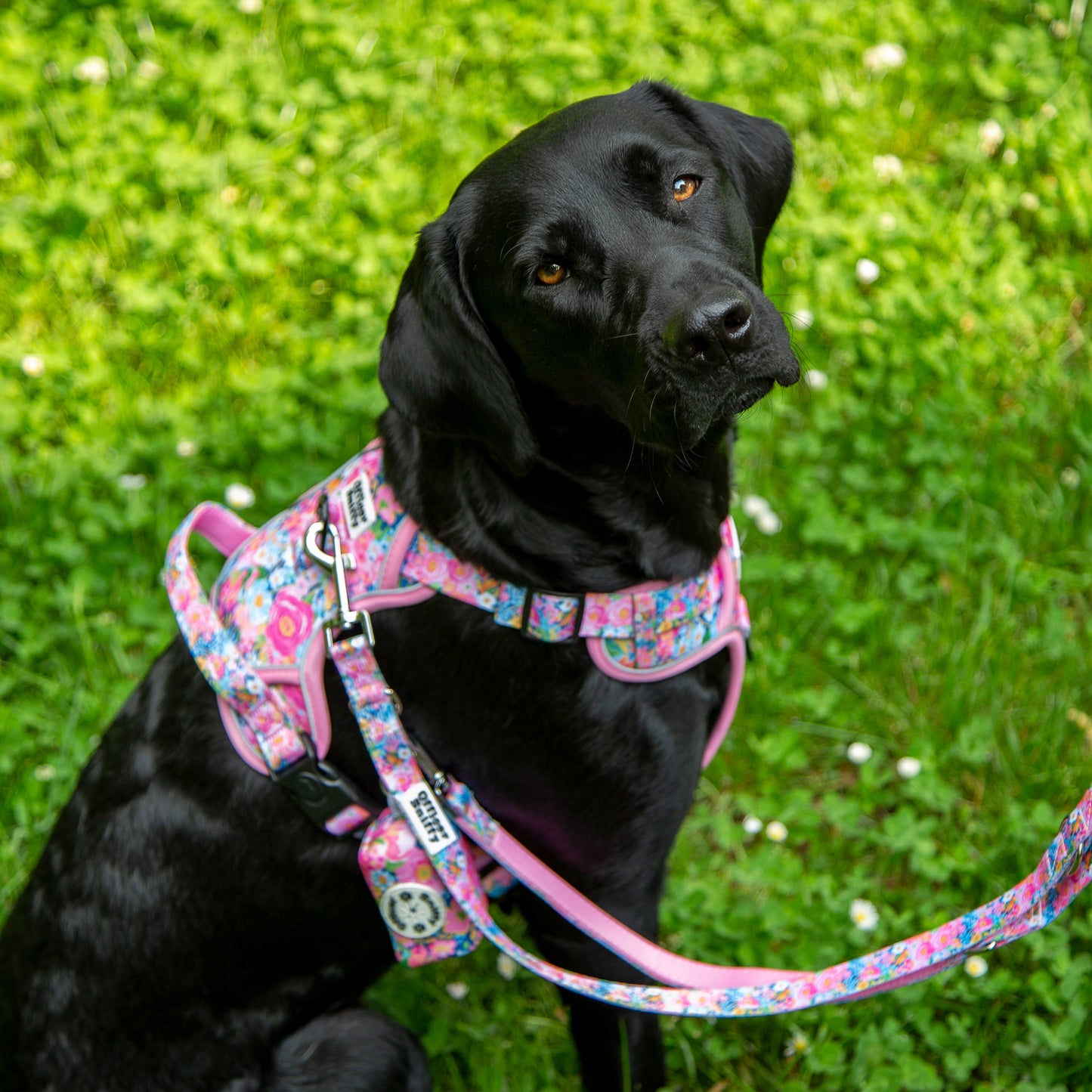 Leine Blumen rosa, verstellbar oder fest