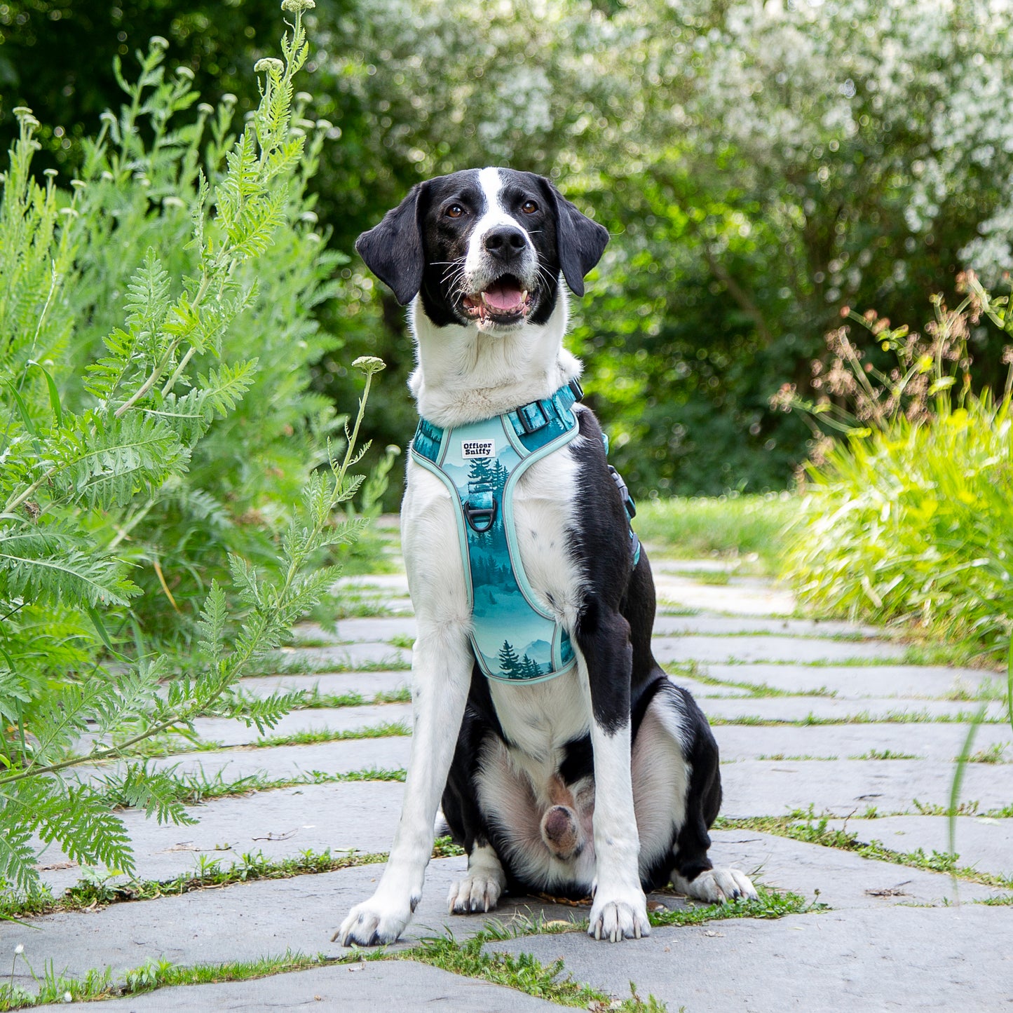 Hundegeschirr Wald Berge grün Brustgeschirr mit Griff