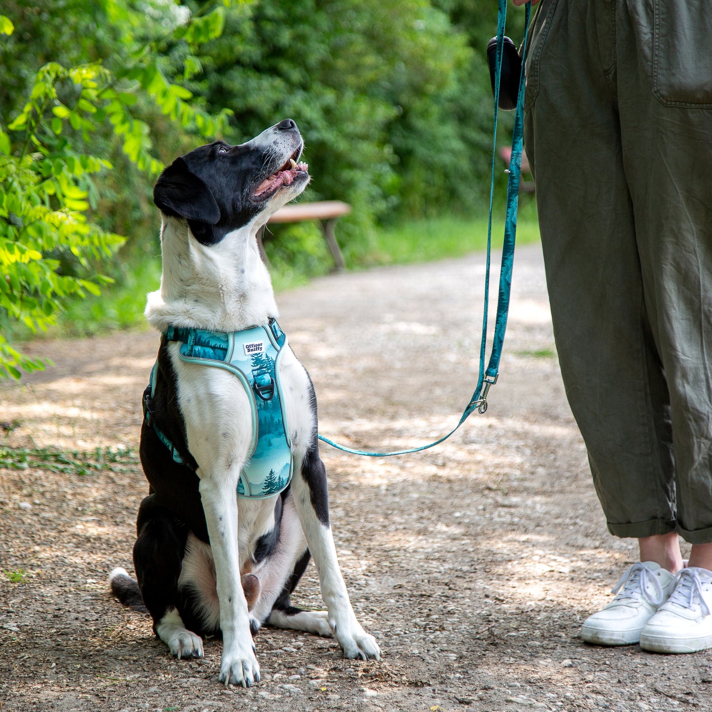 Hundegeschirr Wald Berge grün Brustgeschirr mit Griff
