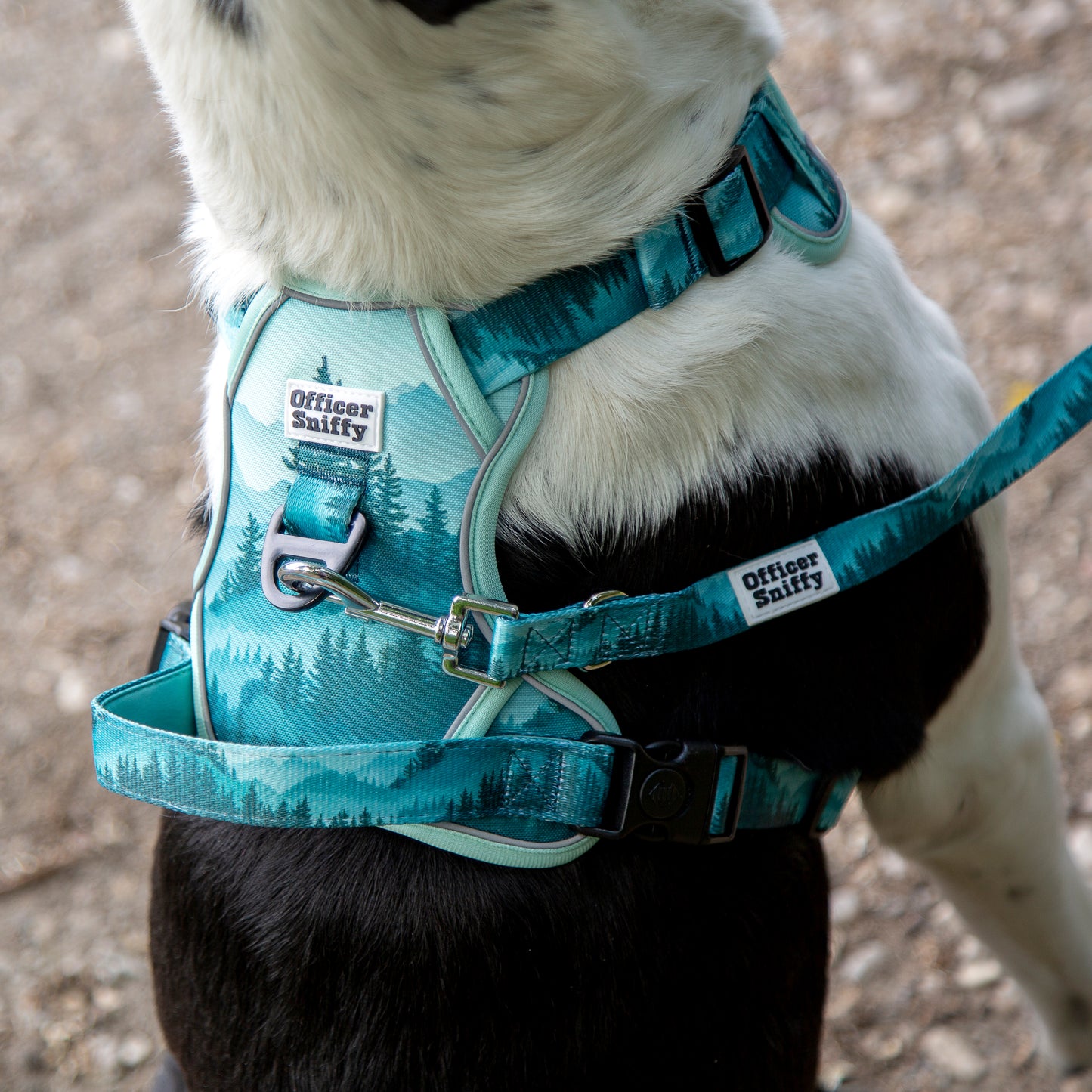 Hundegeschirr Wald Berge grün Brustgeschirr mit Griff