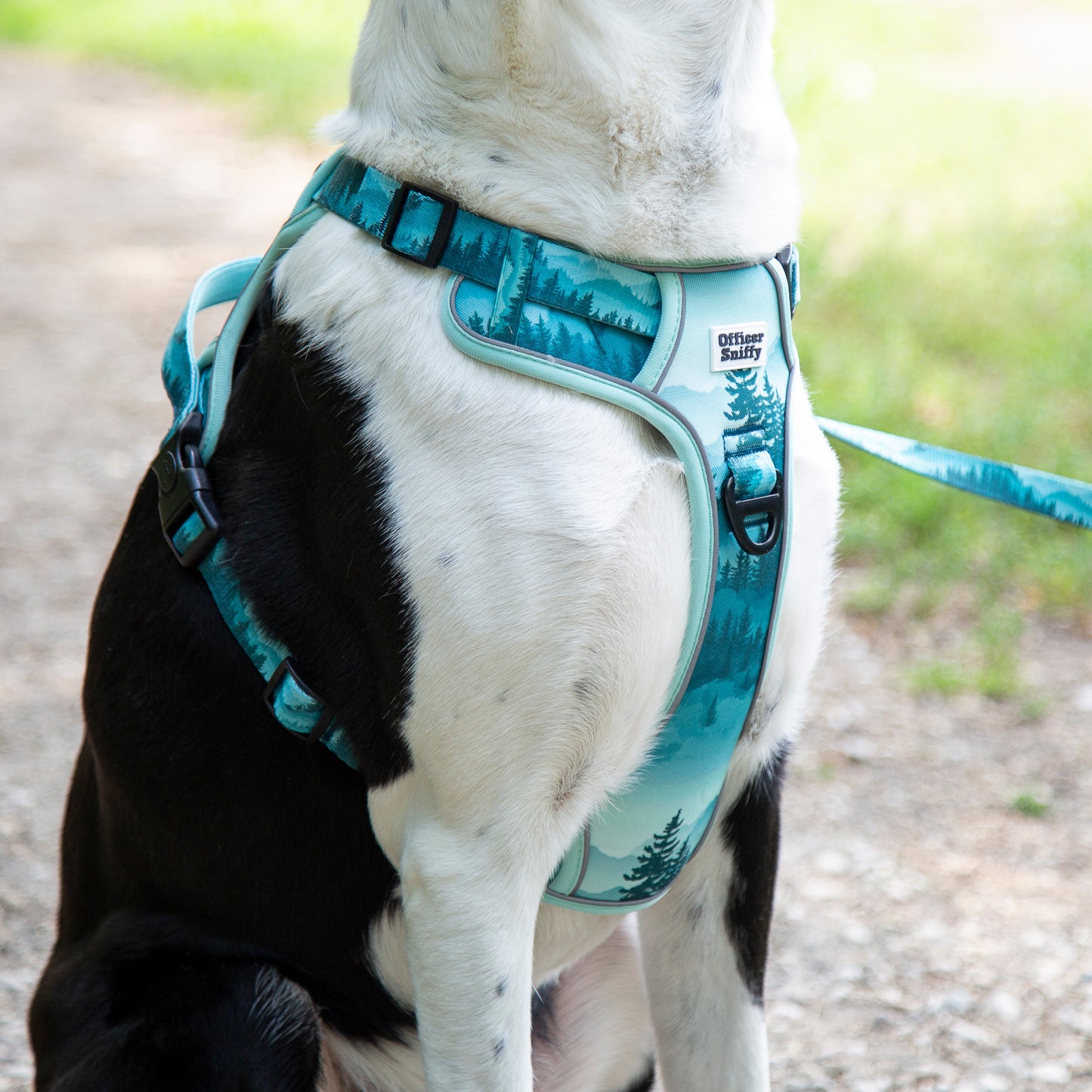 Hundegeschirr Wald Berge grün Brustgeschirr mit Griff