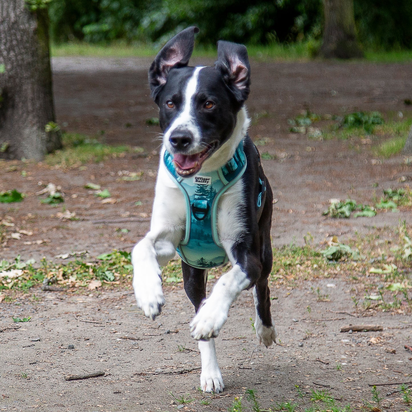 Hundegeschirr Wald Berge grün Brustgeschirr mit Griff
