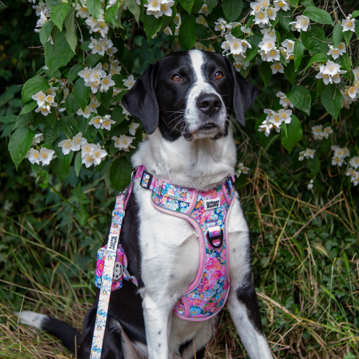 Leine Blumen rosa, verstellbar oder fest