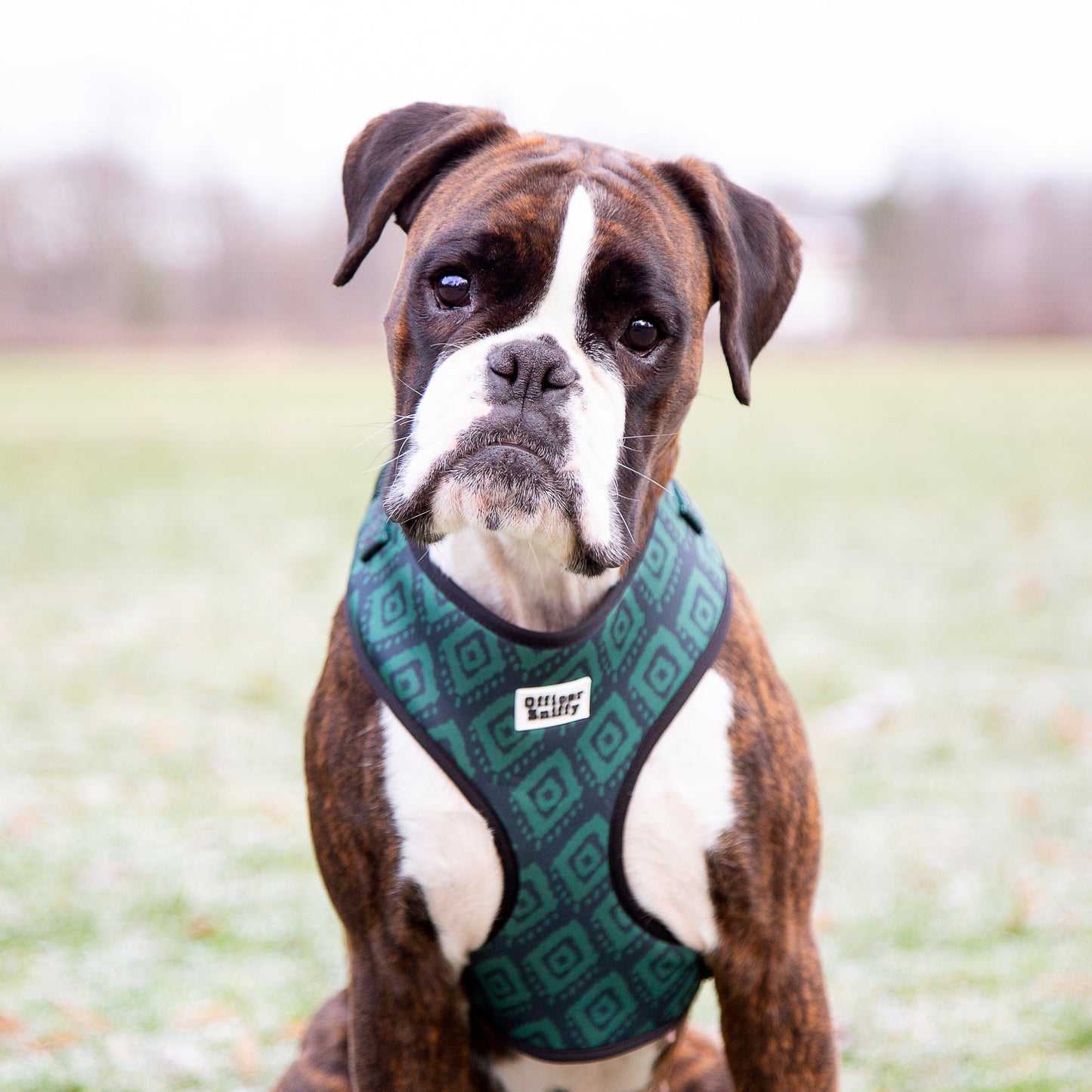 Brustgeschirr "Tribal Aztec"