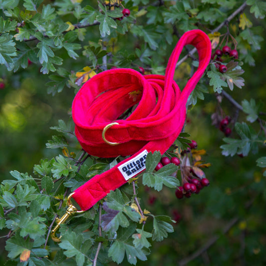 Leine Samt rot