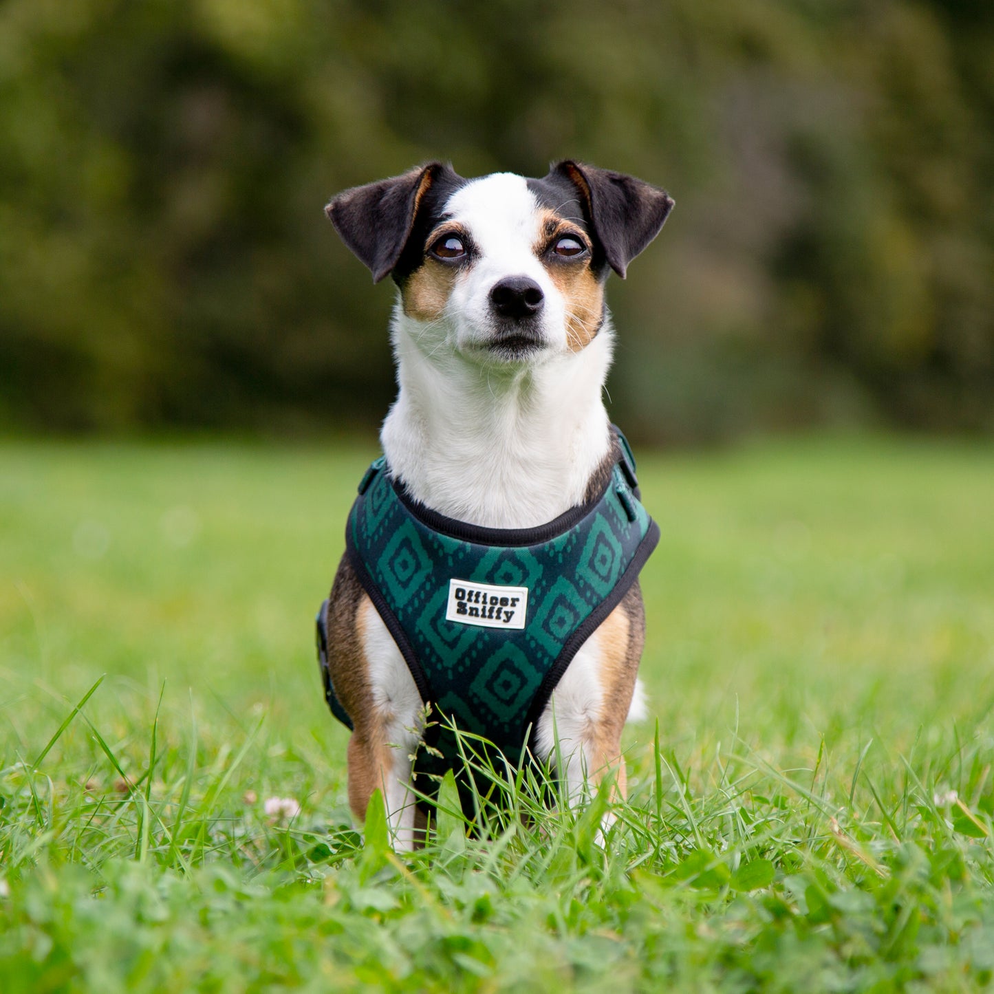 Brustgeschirr "Tribal Aztec"