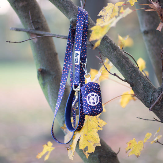 Leine blau gepunktet fest oder verstellbar