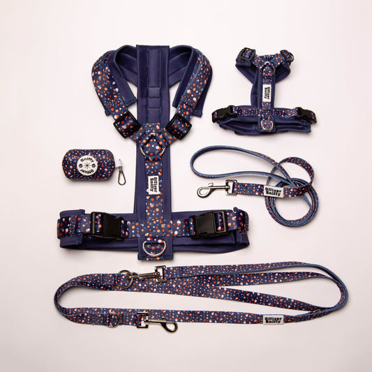 Y-Geschirr blau gepunktet