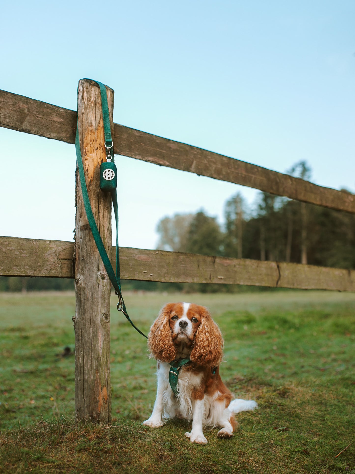 Leine grün Blätter fest oder verstellbar