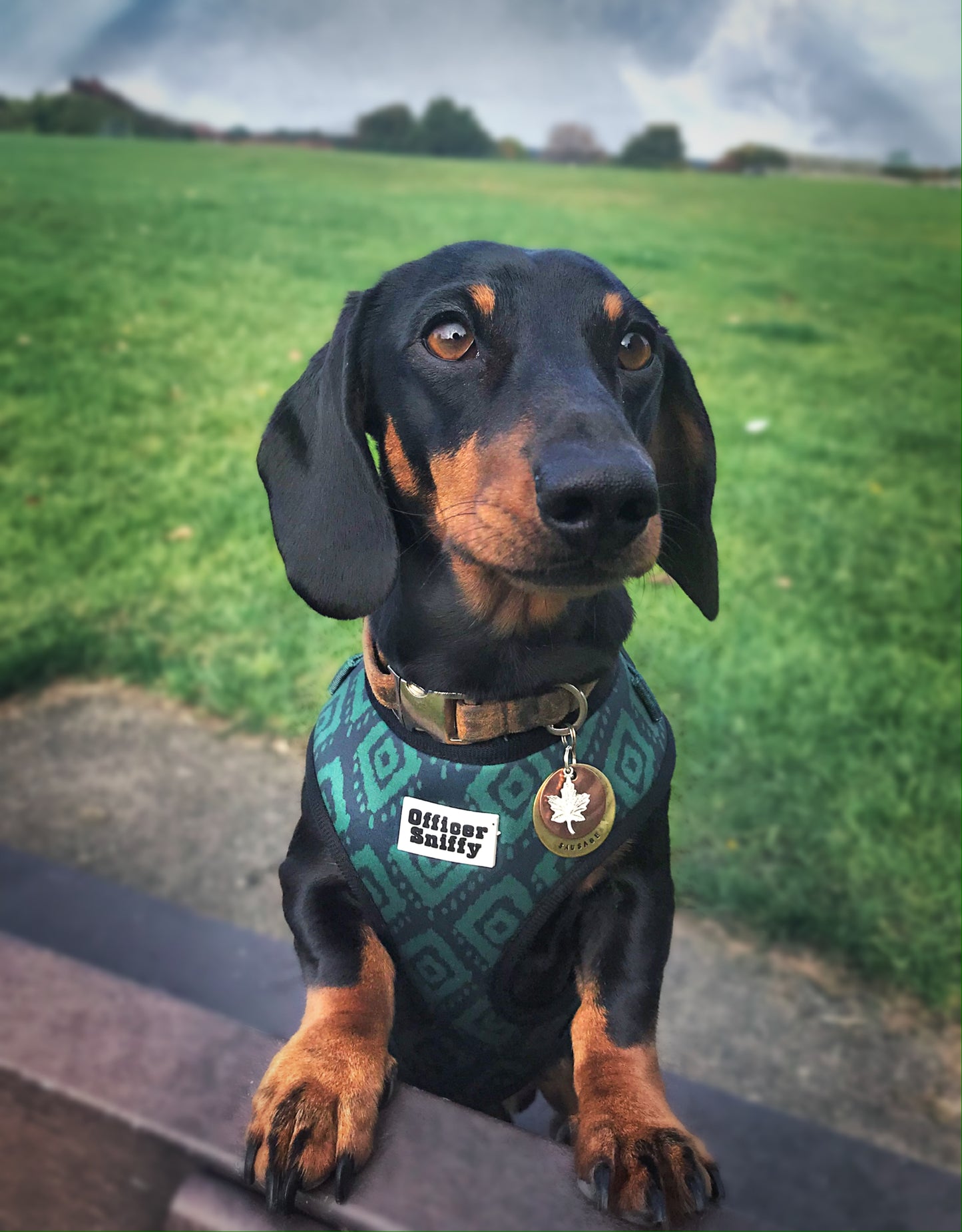 Brustgeschirr "Tribal Aztec"