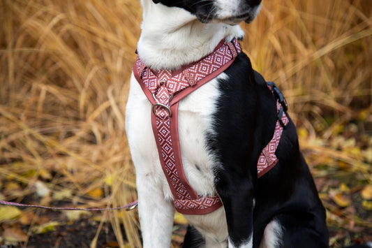 Y-Hundegeschirr / Brustgeschirr braun rostrot gemustert