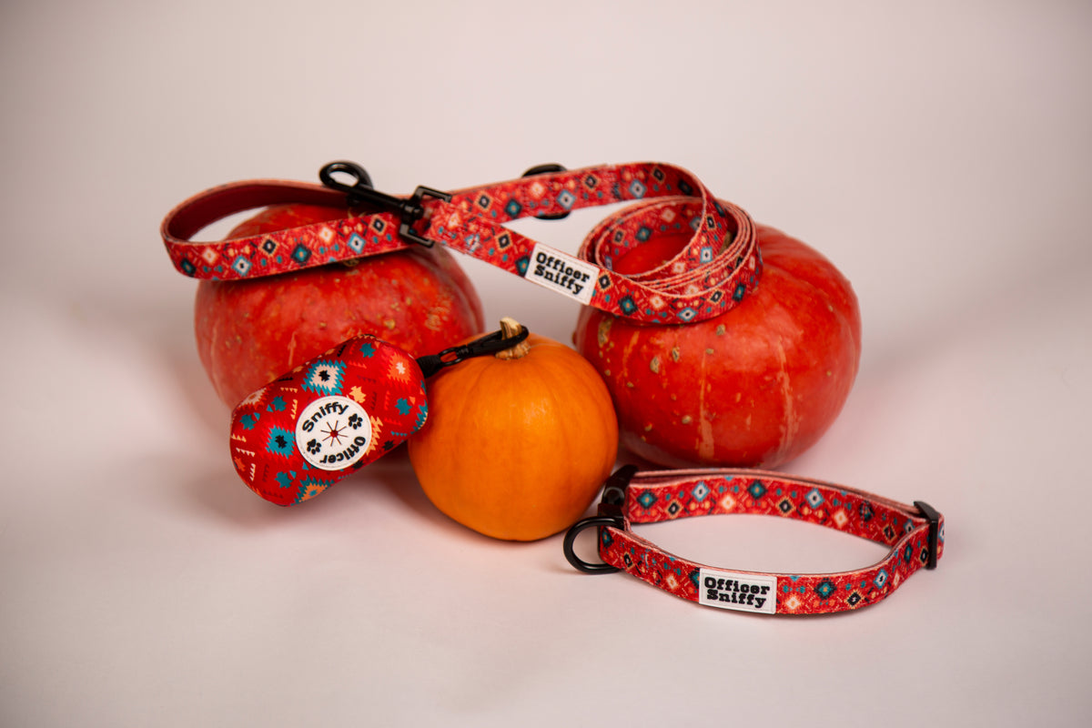Hundehalsband rot orange geometrisches Muster gepolstert