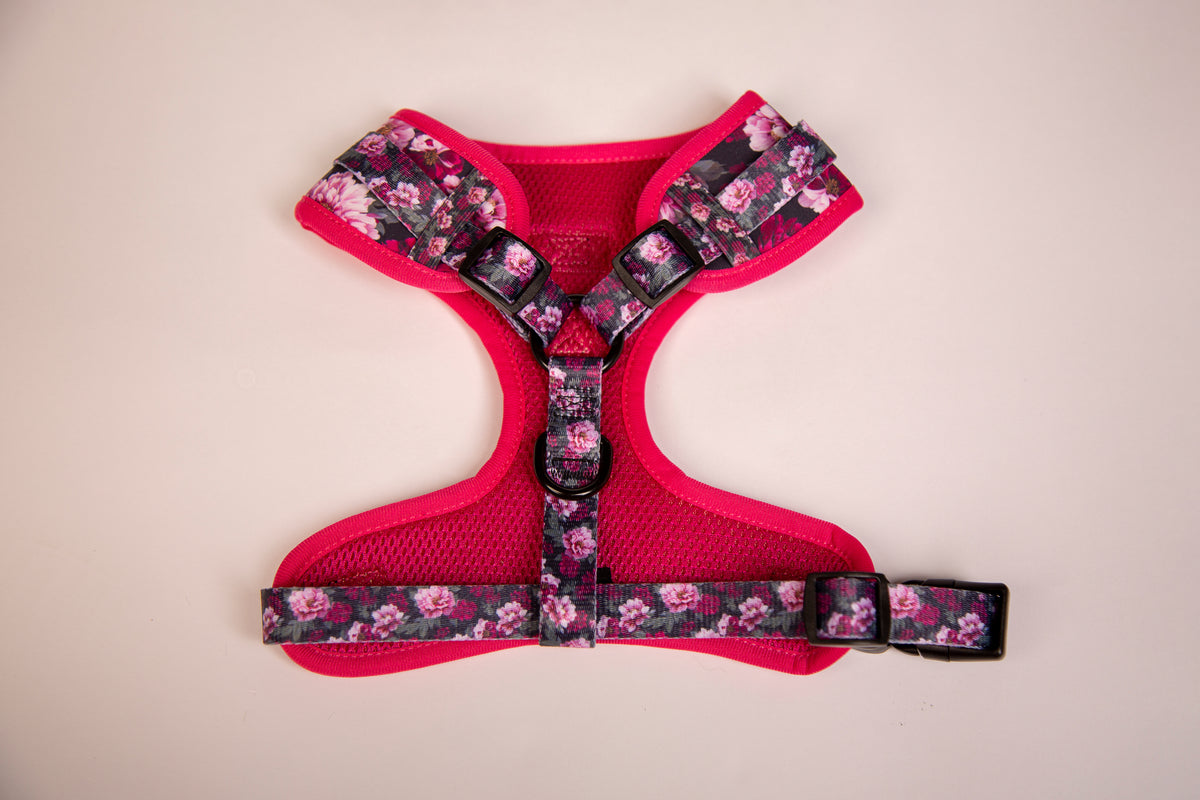 Hundebrustgeschirr Blumen lila pink schwarz