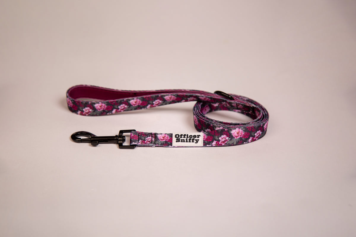 Hundebrustgeschirr Blumen lila pink schwarz