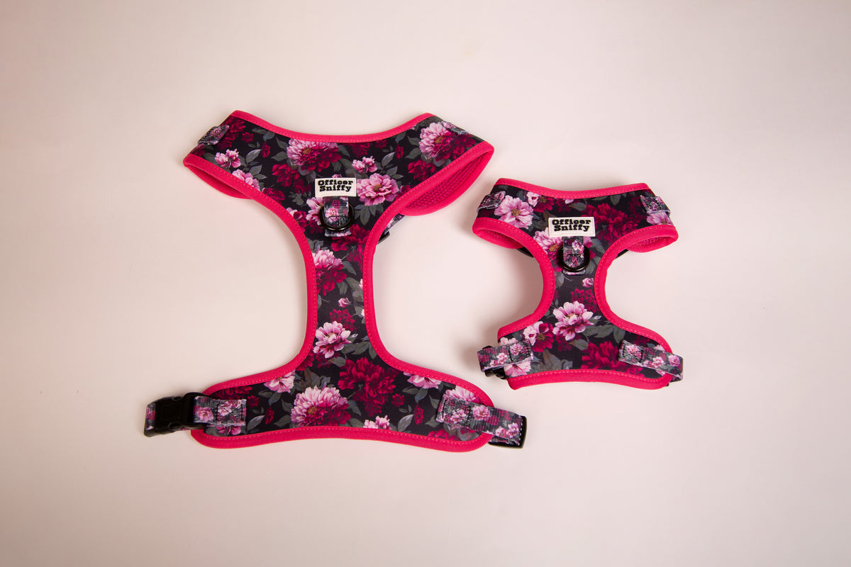 Hundebrustgeschirr Blumen lila pink schwarz