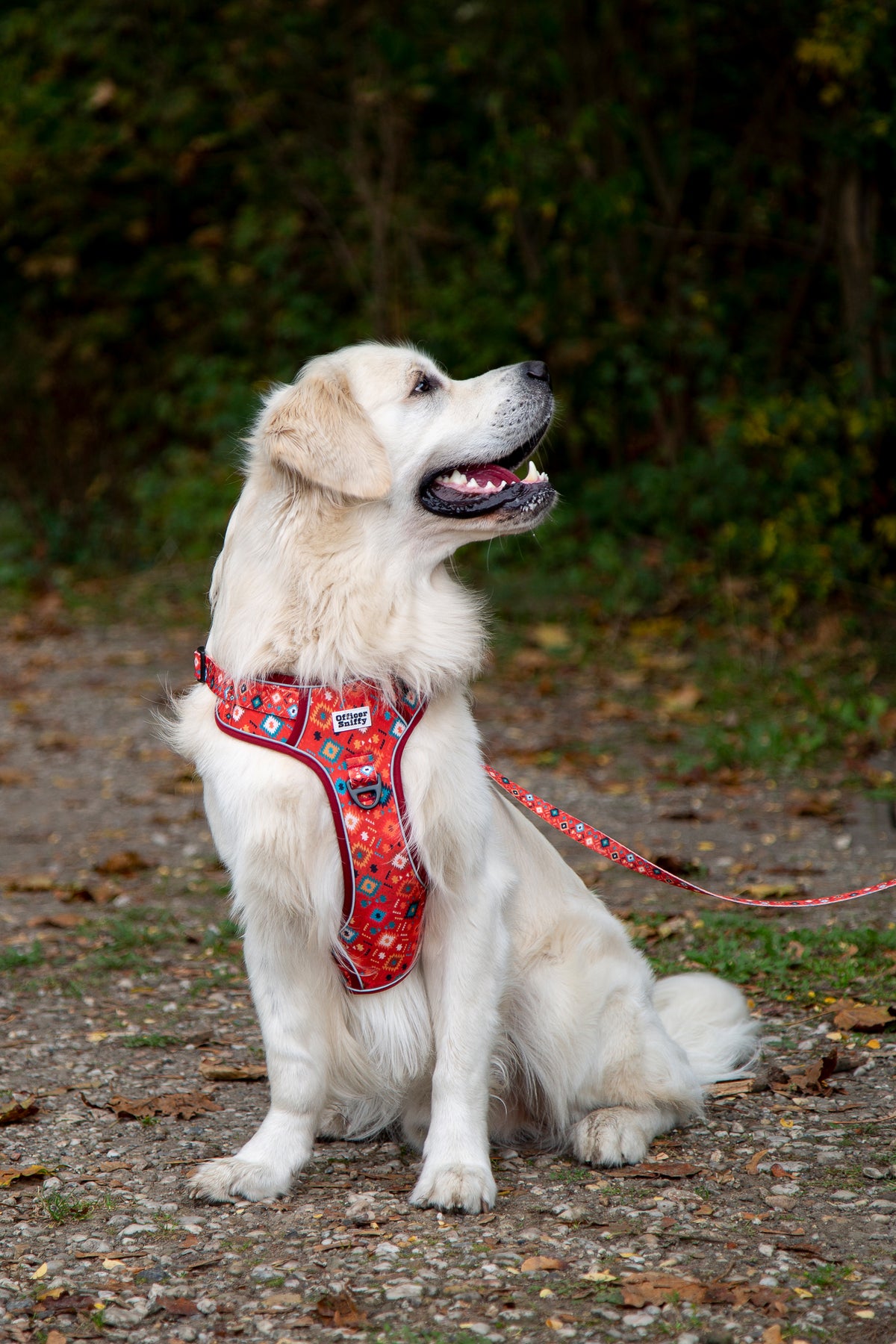 Hundegeschirr geometrisches Ethno Muster rot orange türkis
