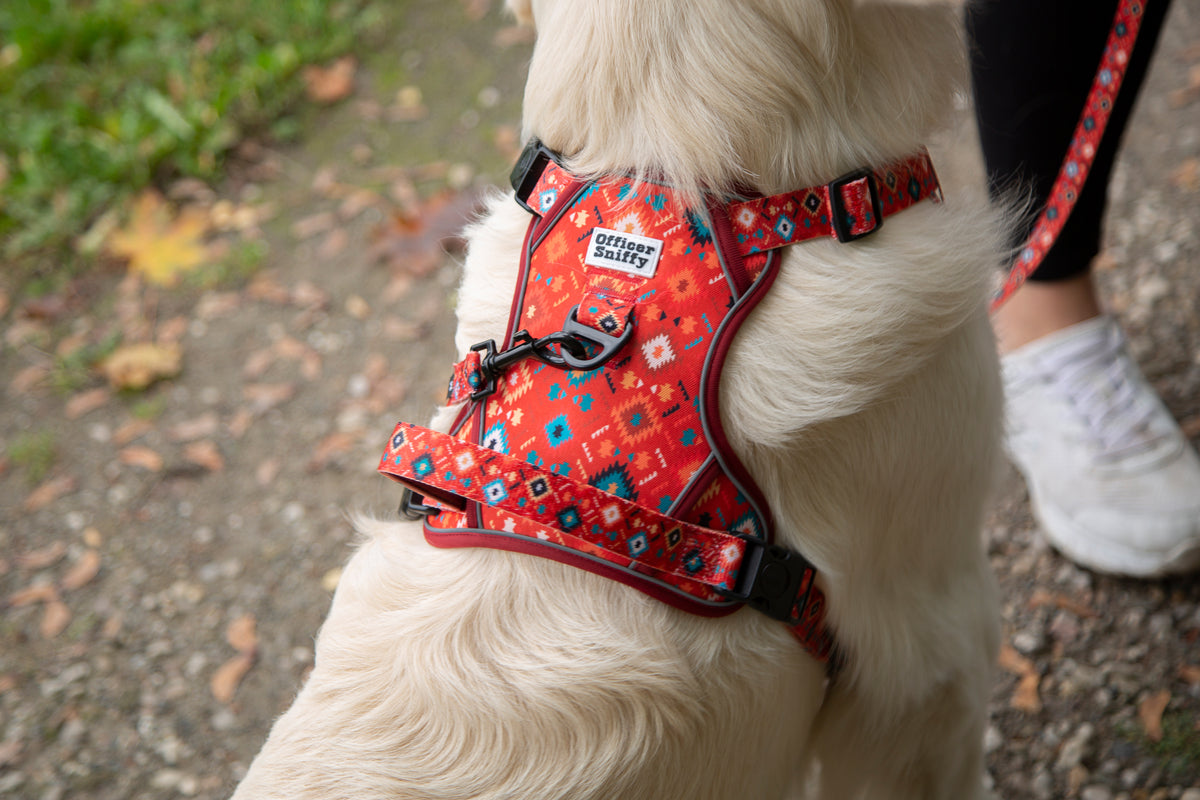 Hundegeschirr geometrisches Ethno Muster rot orange türkis