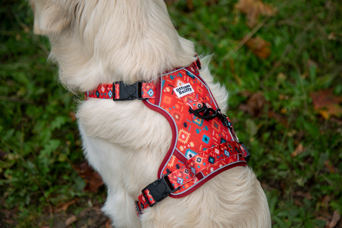 Hundegeschirr geometrisches Ethno Muster rot orange türkis