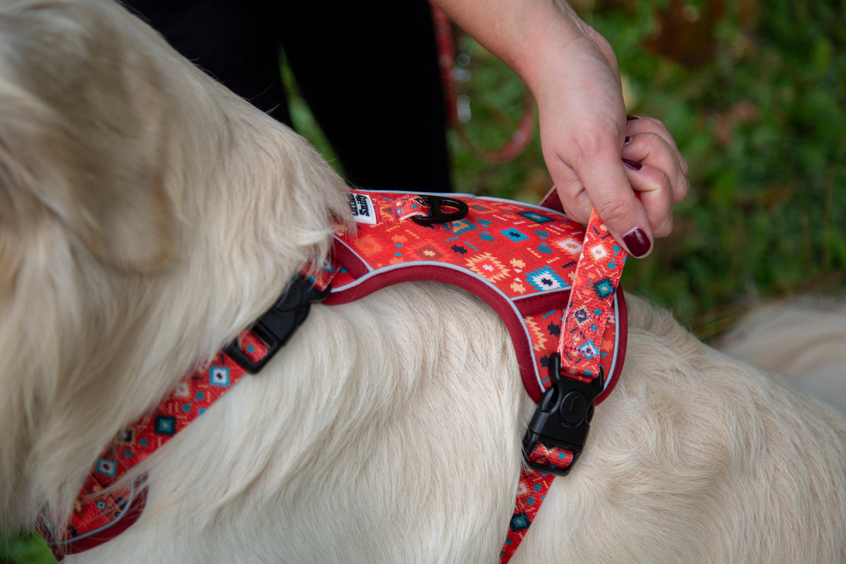 Hundegeschirr geometrisches Ethno Muster rot orange türkis