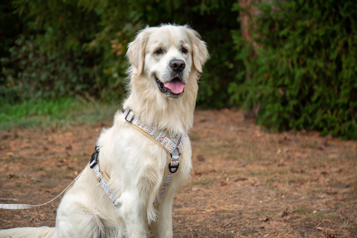 Y-Hundegeschirr / Brustgeschirr beige sand gemustert boho