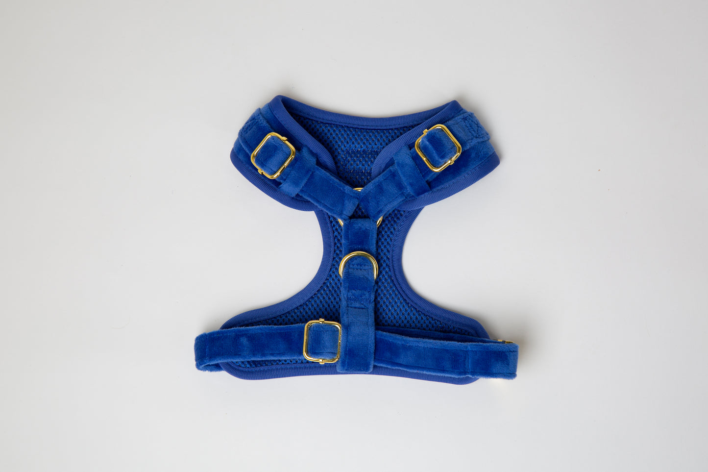 Brustgeschirr Samt blau