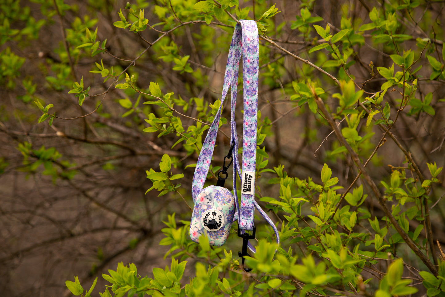 Leine Koala